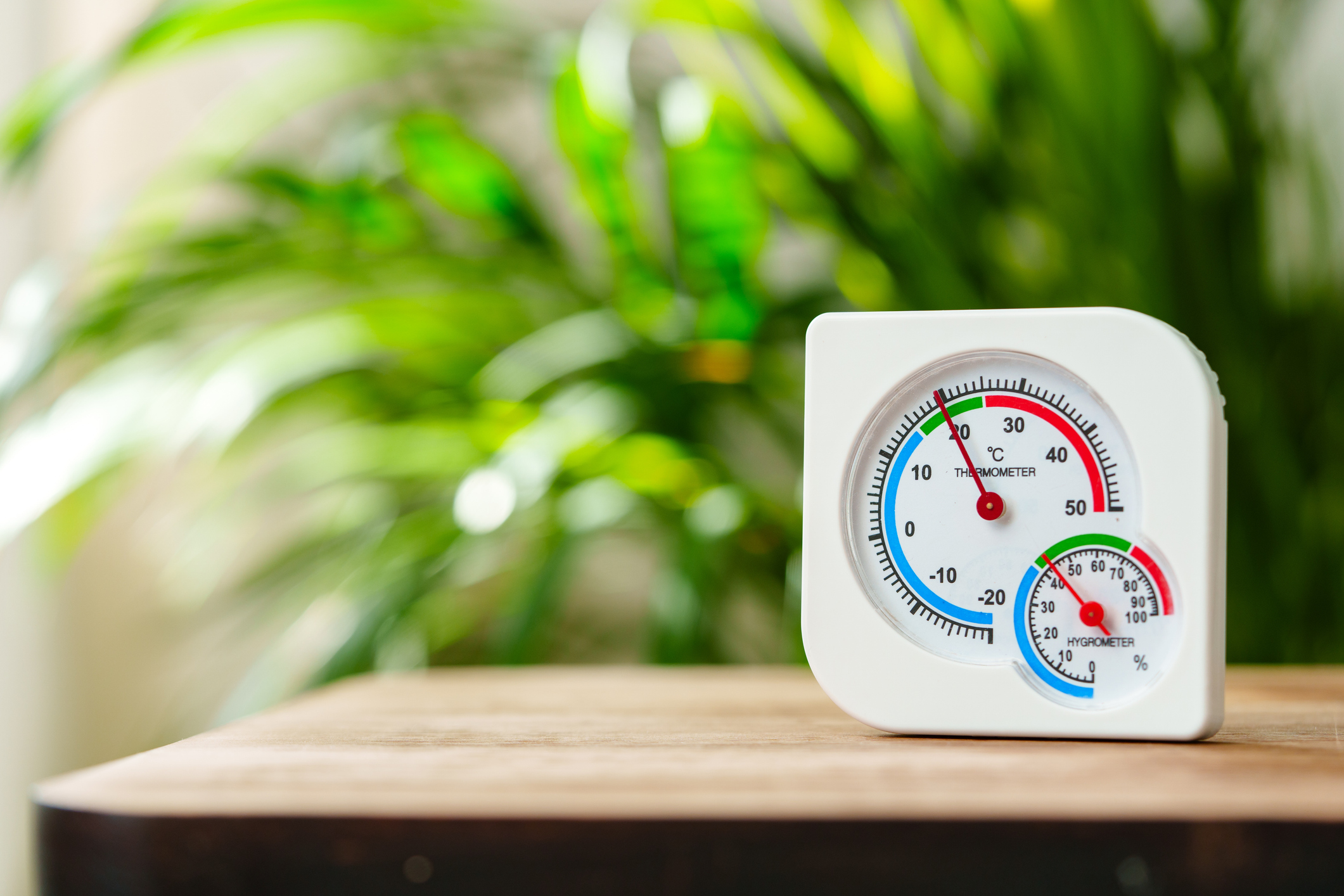 A white analog thermometer and hygrometer sitting on a wooden surface with a green plant out of focus in the background