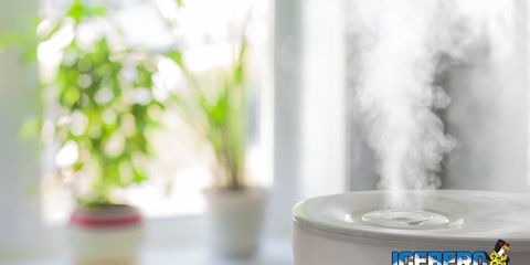 Getting the Right Humidity Levels for Your Home